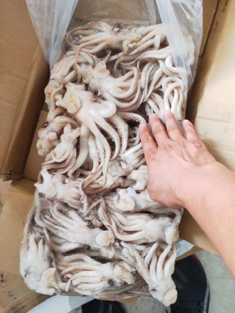 《有好货》鱿鱼头