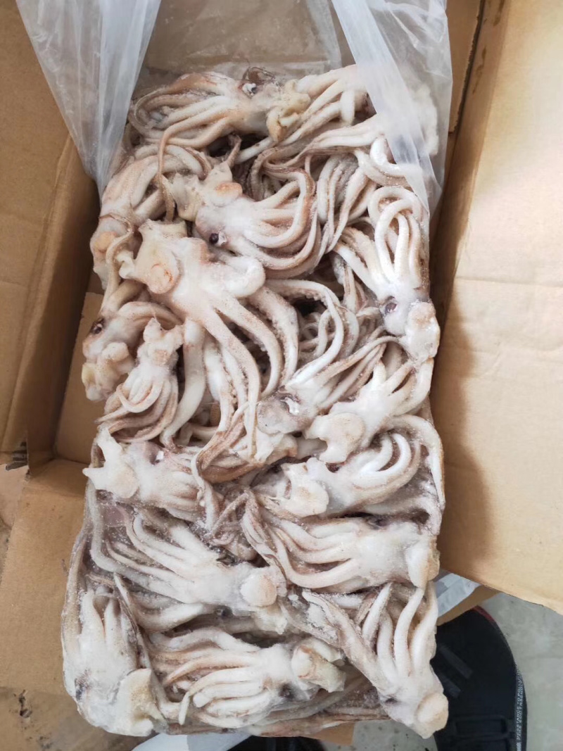 《有好货》鱿鱼头