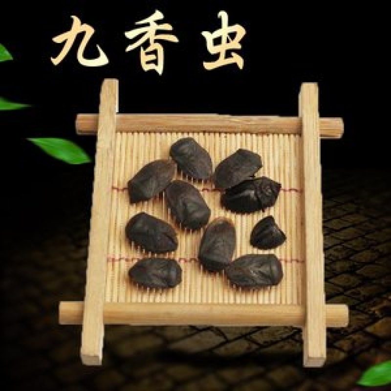 九香虫，常年批发各种规格冷背中药材，九香虫量大从优