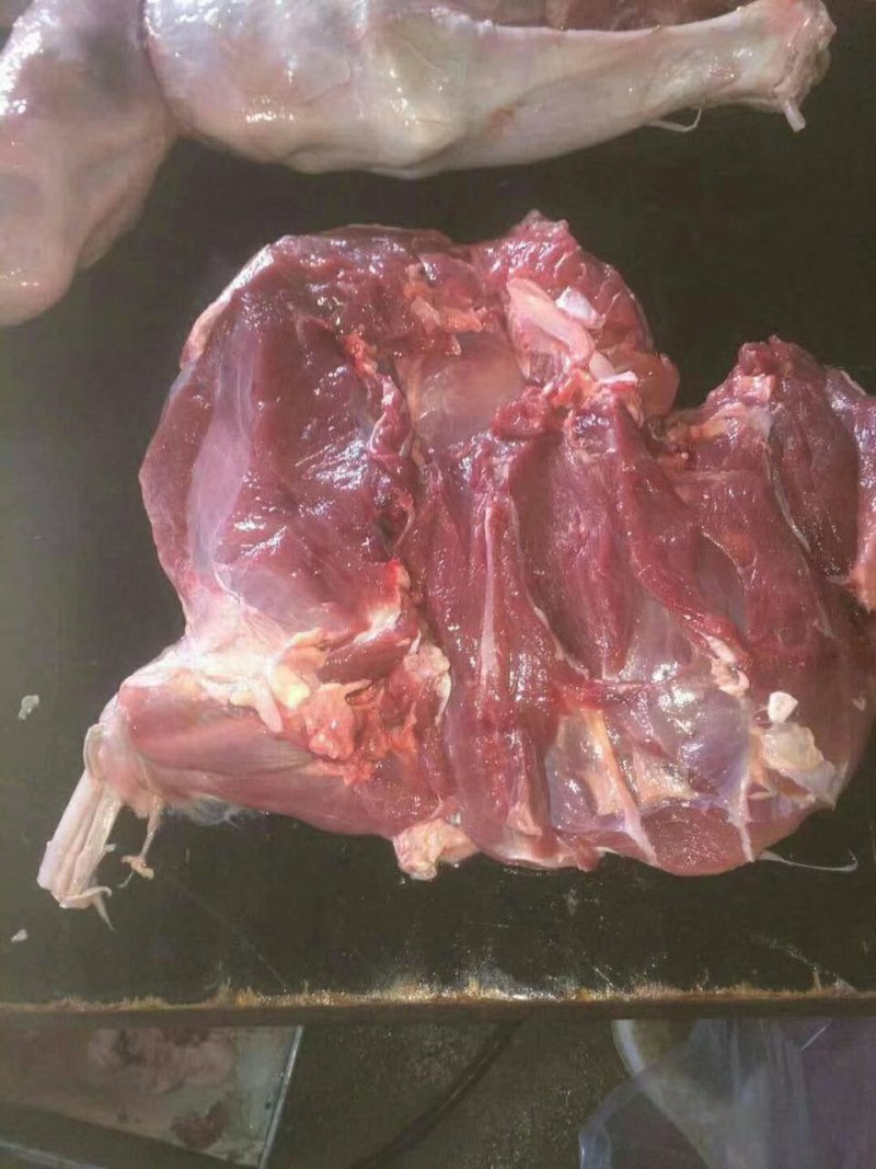【乳牛肉】乳牛肉乳牛，牛腿肉，货源冻牛肉乳牛后腿