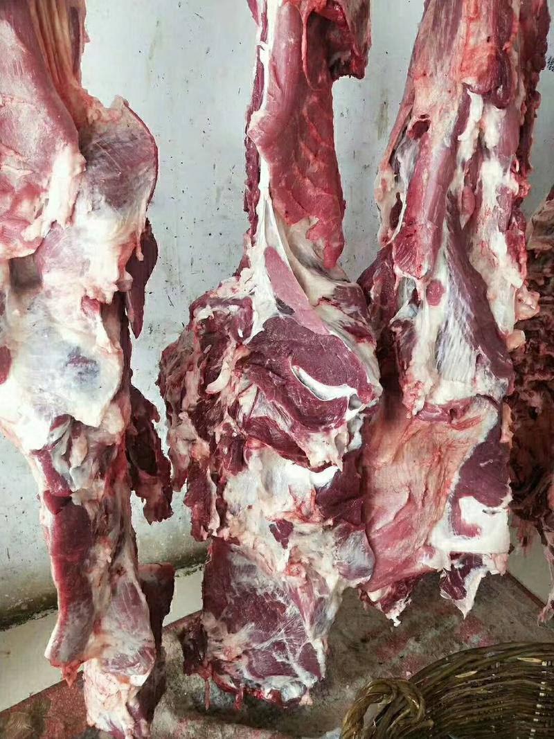 【非注水纯干鲜牛肉】屠宰纯干鲜牛肉严格按伊斯兰教方法