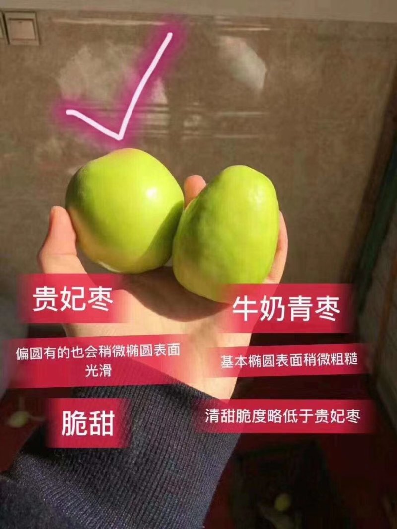 福建贵妃牛奶枣礼盒装送礼产地直发线上线下社团一件代发
