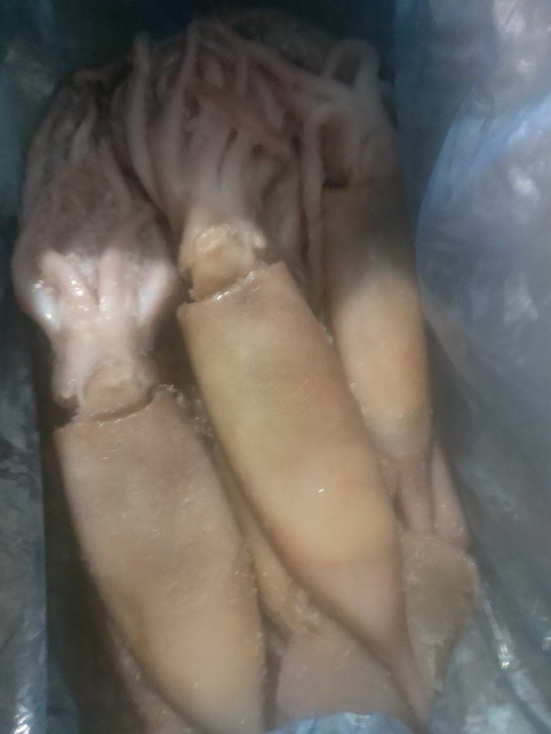鱿鱼