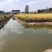 田亩转让