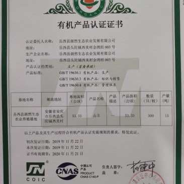 大别山纯生态放牧有机山羊肉