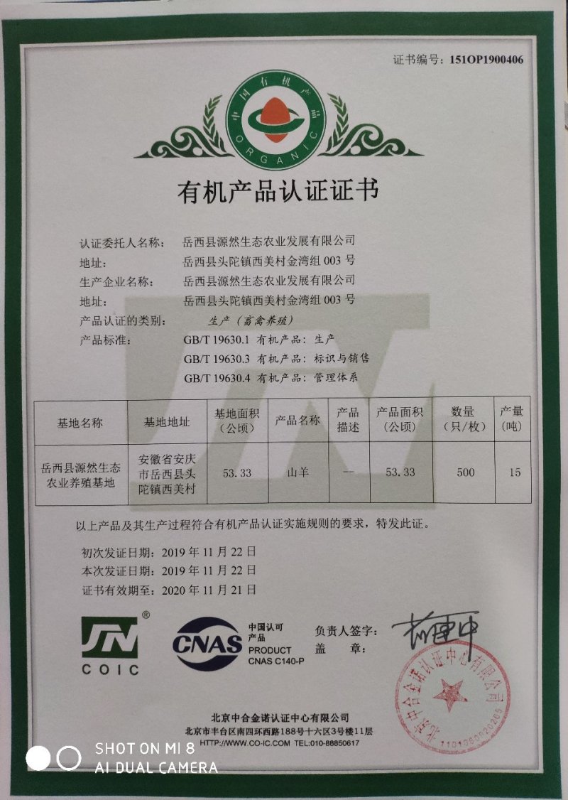 大别山纯生态放牧有机山羊肉