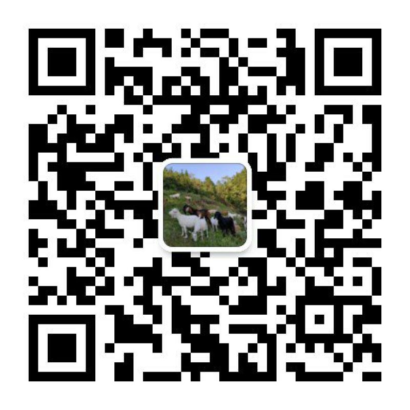 大别山纯生态放牧有机山羊肉