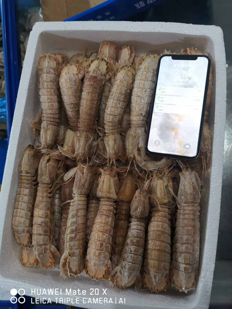 冷冻皮皮虾，新鲜活冻，带黄皮皮虾