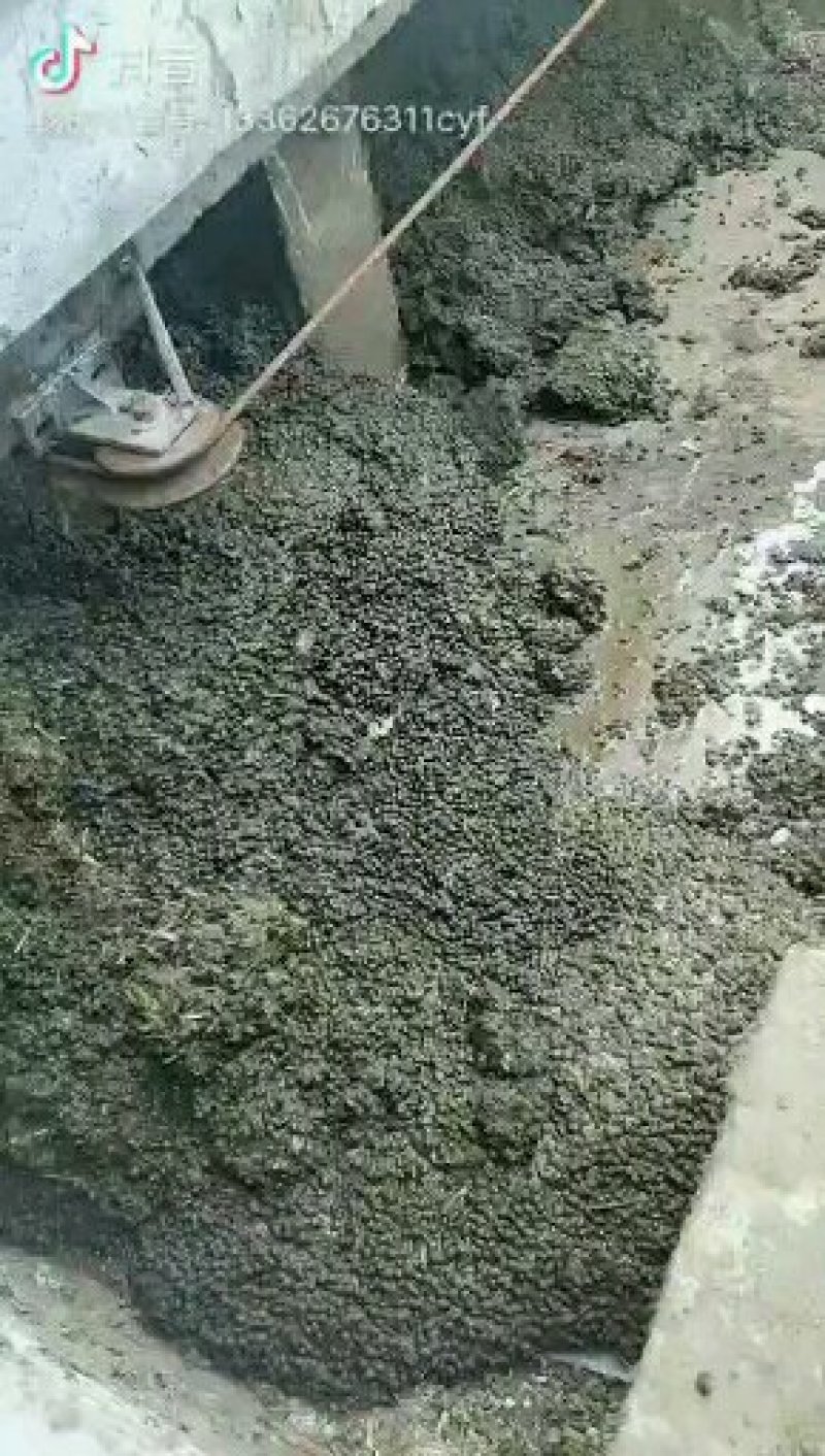 【有机肥料】发酵羊粪禽畜粪便养殖场直发欢迎咨询