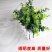 保鲜膜PE缠绕膜宽50cm塑料包装膜打包膜批发拉伸膜大