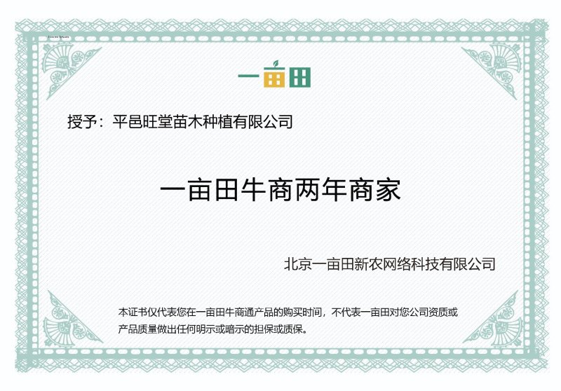 金银花苗药用金银花四季金银花育杰一号2年苗