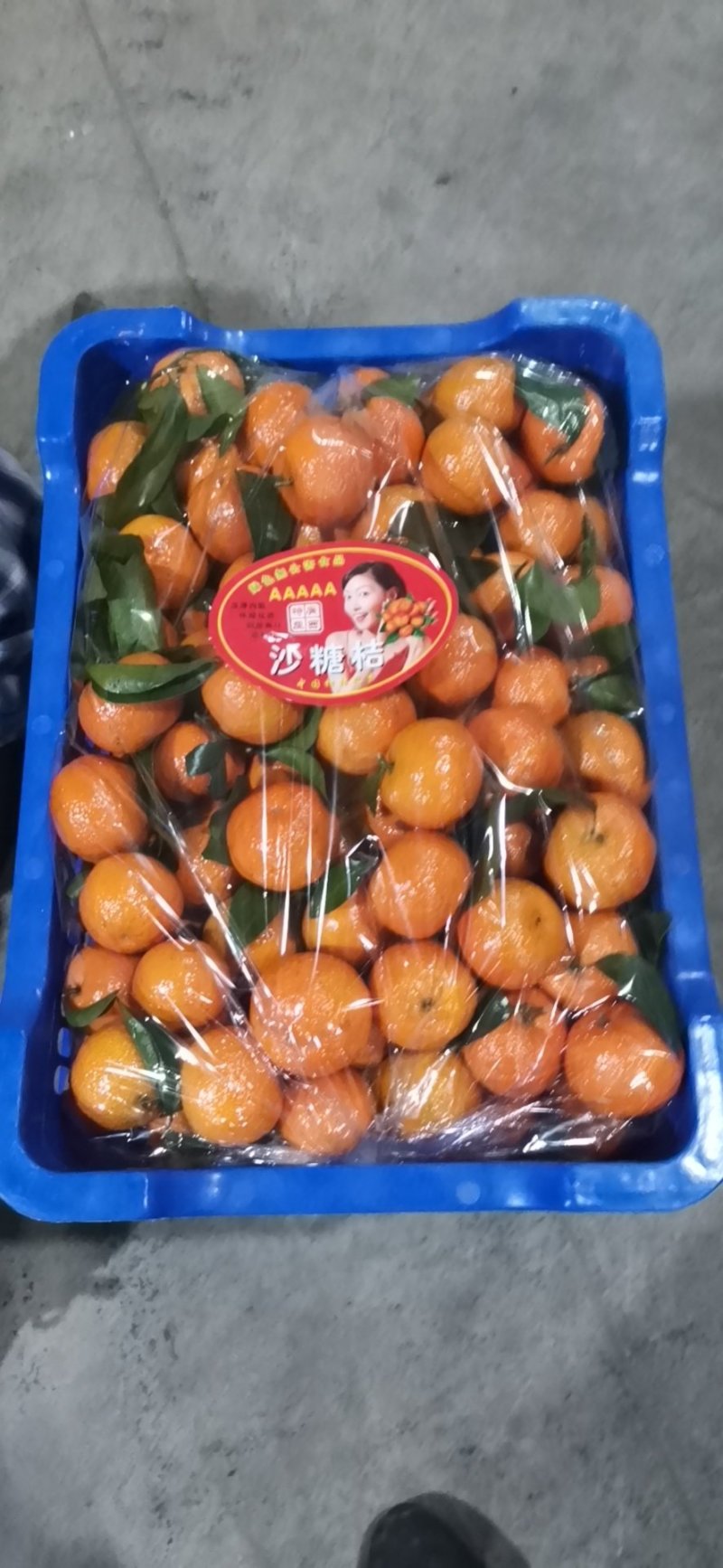 桂林全州县才湾镇砂糖橘开始大量上市了1.123456