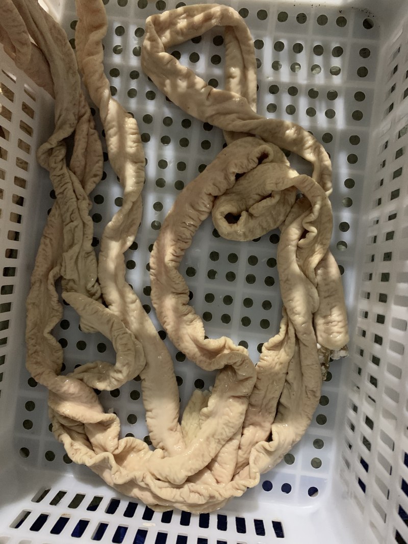 预煮大肠、鲜品