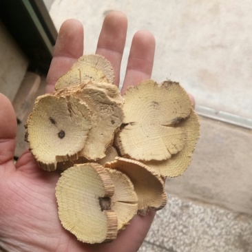 木通木通木通片干货无硫熏中药材
