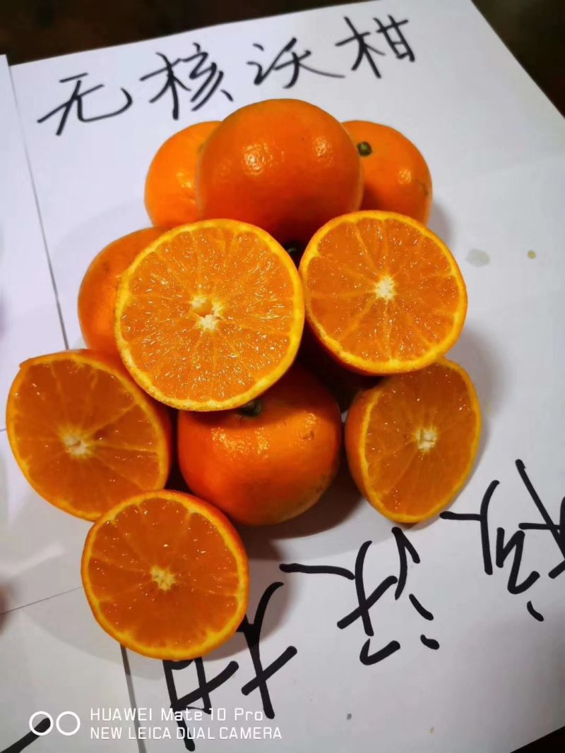 091无核沃柑果