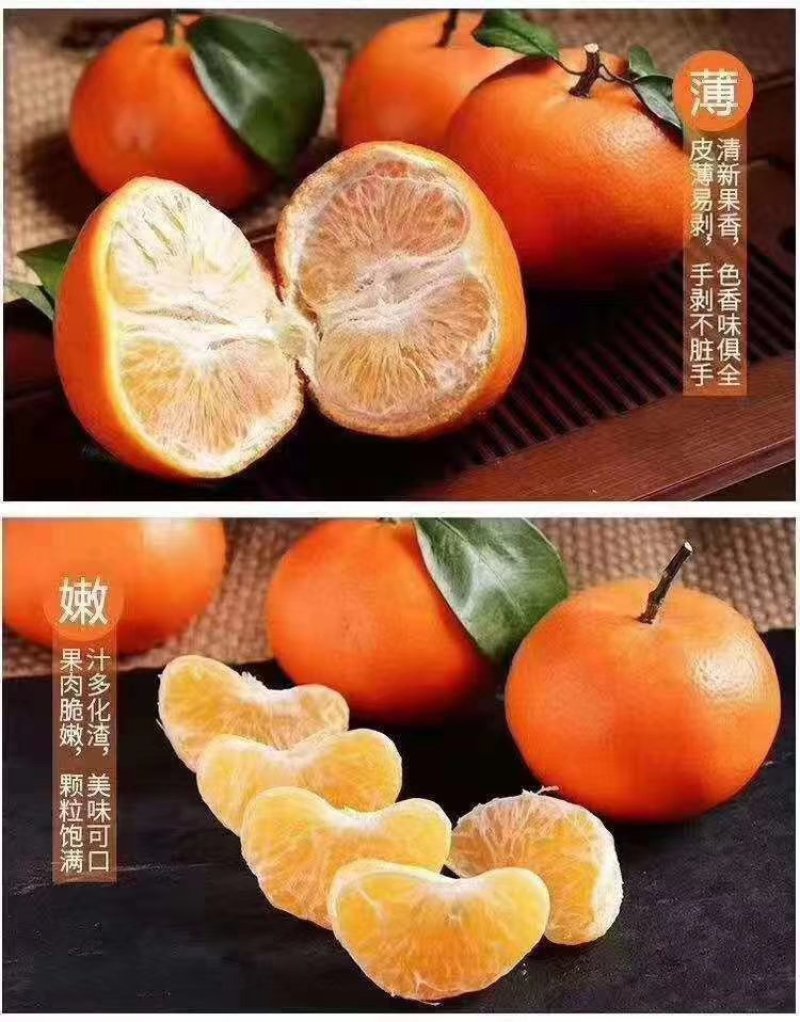 091无核沃柑果
