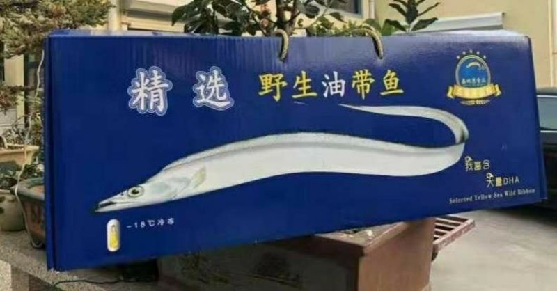冻带鱼，条冻带鱼东海带鱼礼盒带鱼
