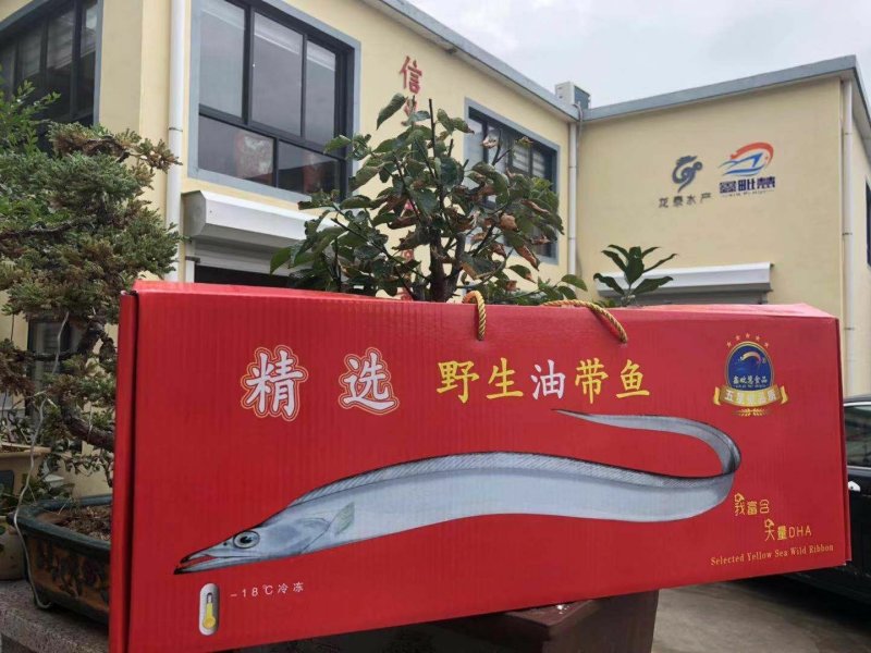 冻带鱼，条冻带鱼东海带鱼礼盒带鱼