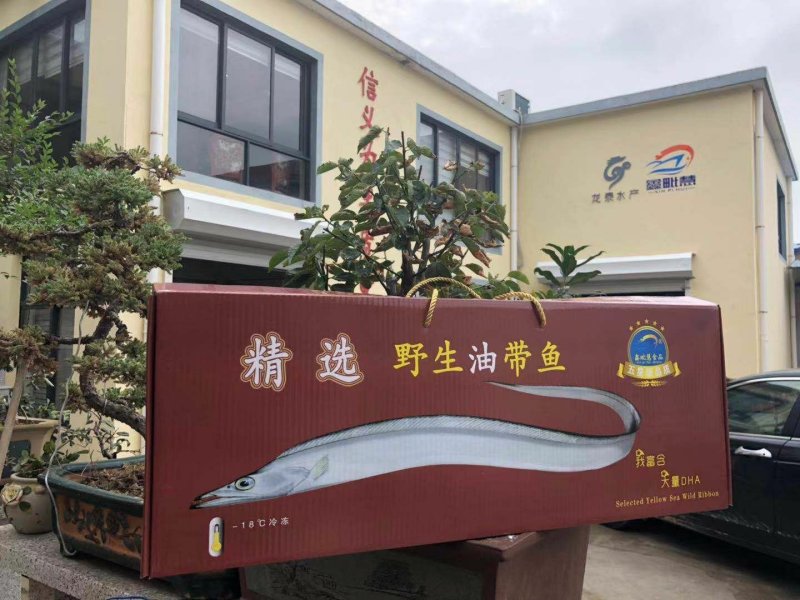 冻带鱼，条冻带鱼东海带鱼礼盒带鱼
