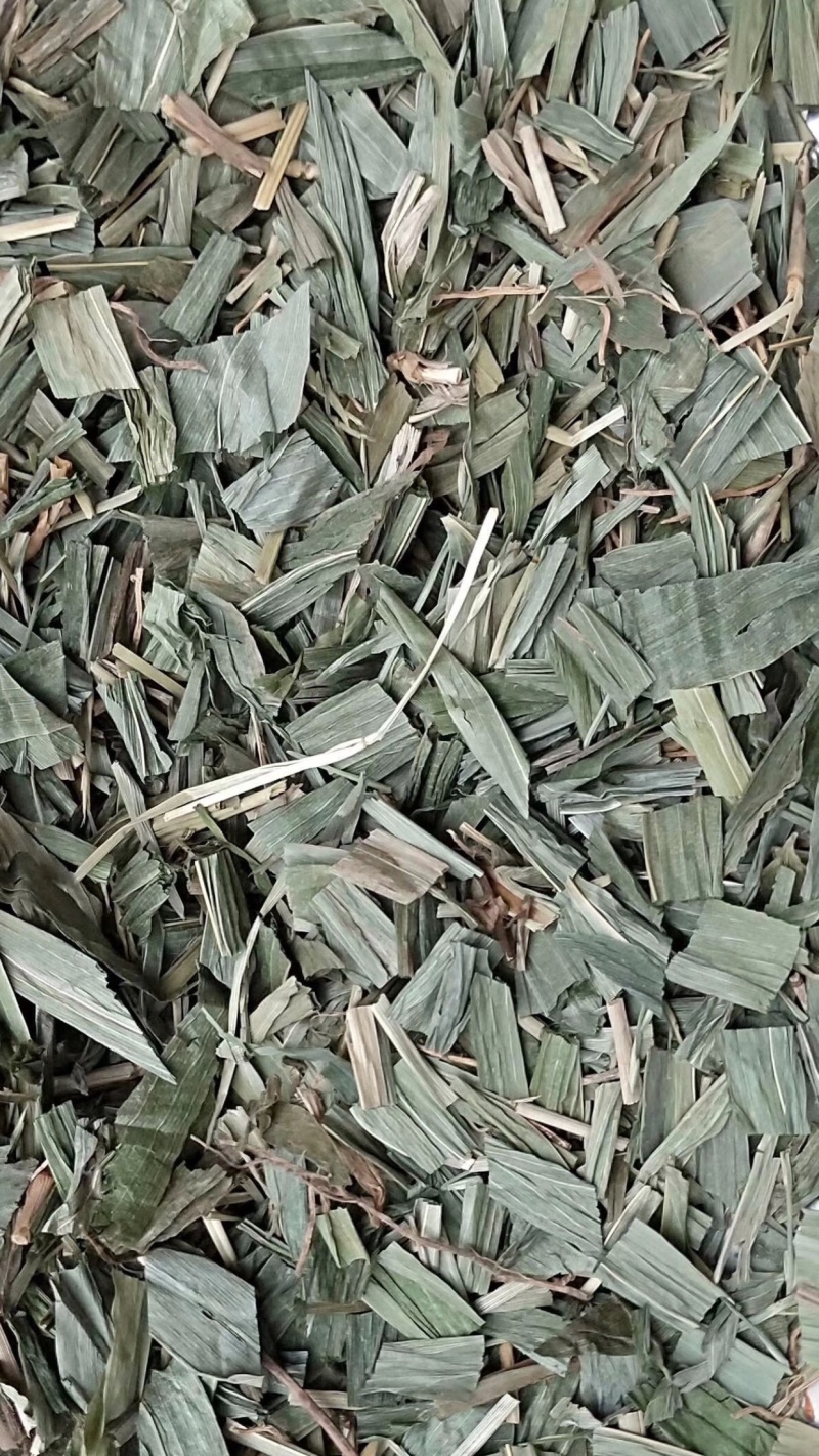 淡竹叶【包邮】三斤起发货可批量可零售量大从优