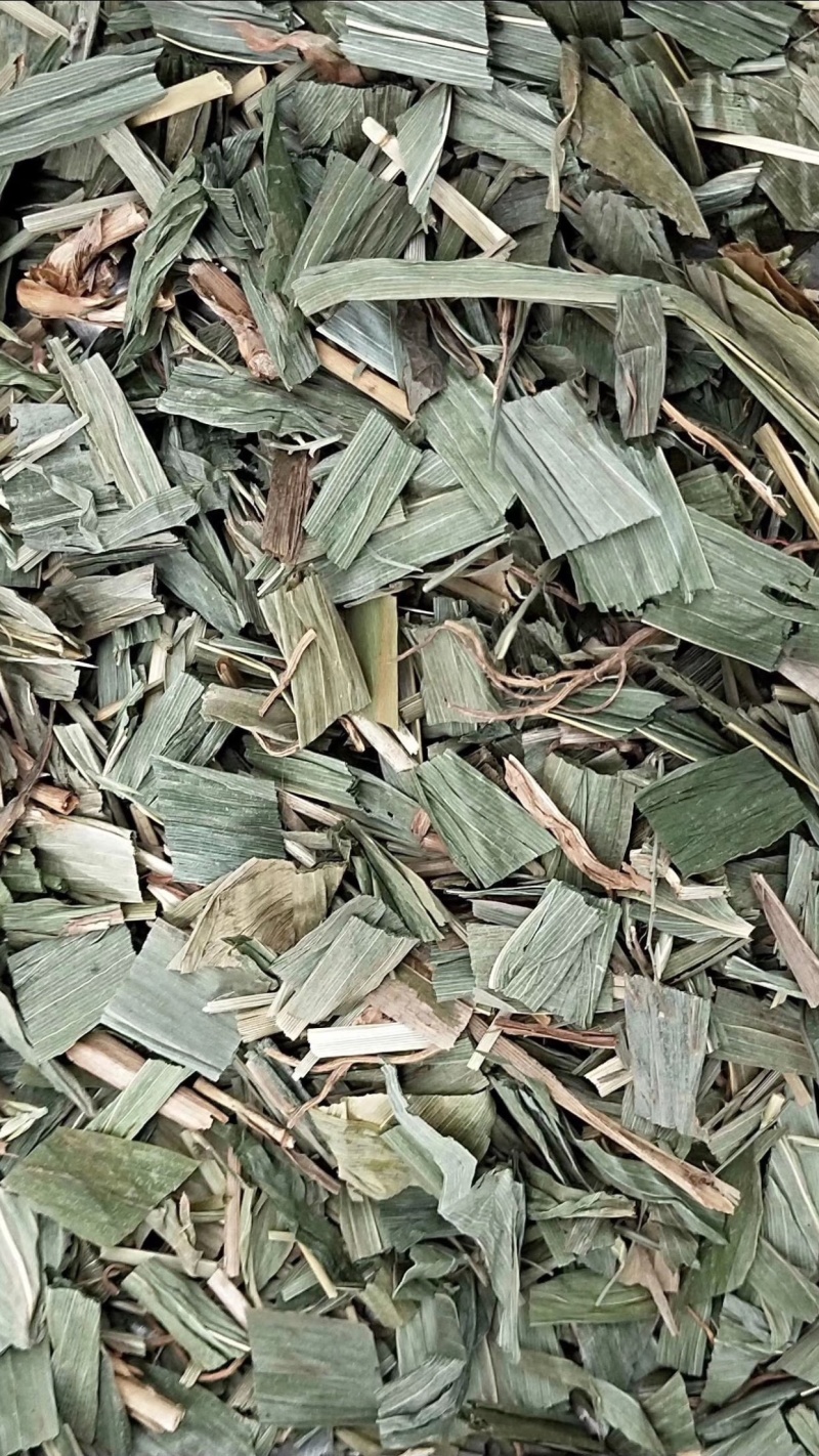 淡竹叶【包邮】三斤起发货可批量可零售量大从优
