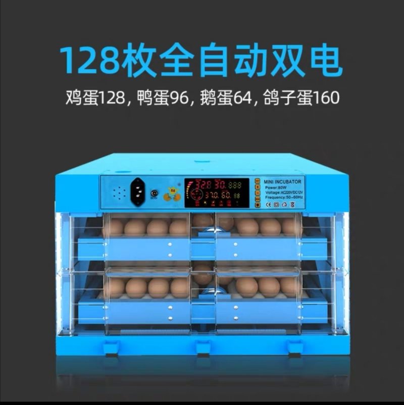 孵化机全自动小型家用型水床孵蛋器