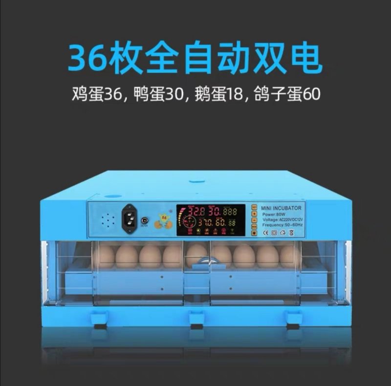 孵化机全自动小型家用型水床孵蛋器