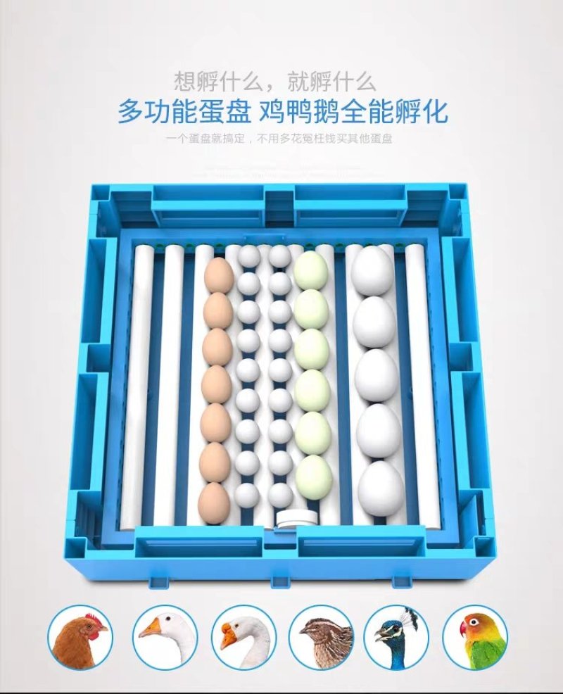 孵化机全自动小型家用型水床孵蛋器