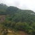 山地
