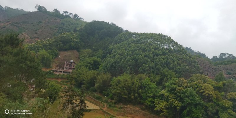 山地