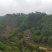 山地