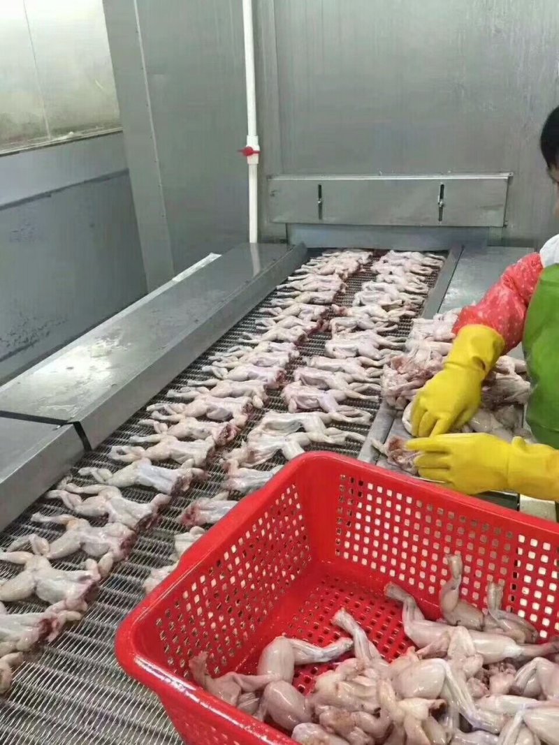 一手货源，牛蛙热卖中
