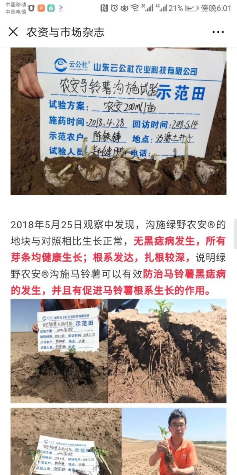 1.2%辛菌胺醋酸盐番茄辣椒病毒病枯萎病果树腐烂病细菌病