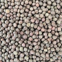 低价出售优质麻豌豆进口枫叶豆芽豆种子鸽粮