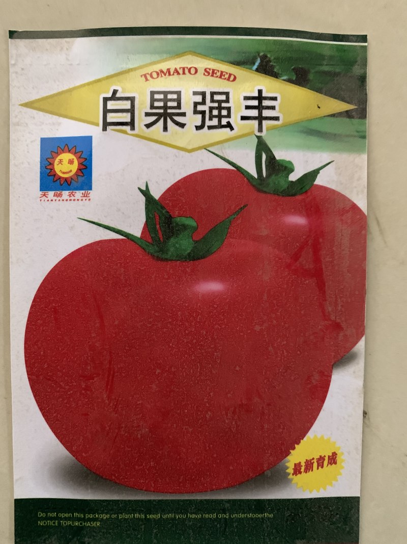 西红柿大红番茄种子大西红柿种子