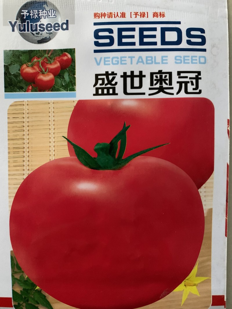 西红柿大红番茄种子大西红柿种子