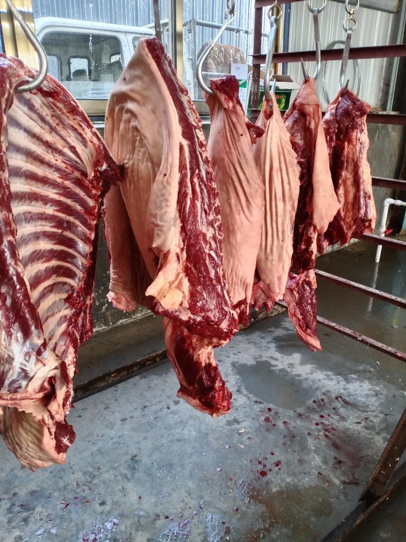 驴肉，现宰鲜驴肉，水褪毛，人工剔骨，精修去油，保质保量