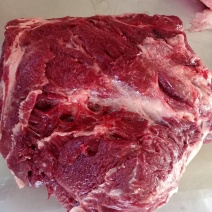 驴肉，现宰鲜驴肉，水褪毛，人工剔骨，精修去油，保质保量