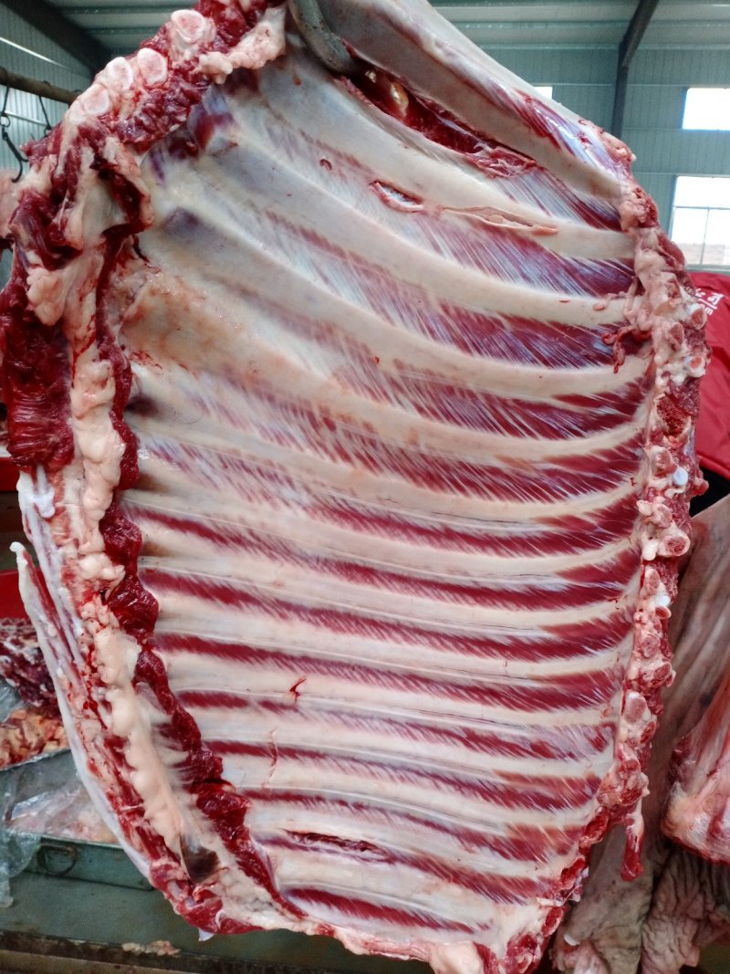 驴肉，现宰鲜驴肉，水褪毛，人工剔骨，精修去油，保质保量