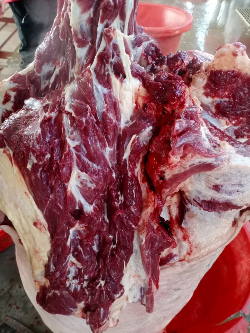 驴肉，现宰鲜驴肉，水褪毛，人工剔骨，精修去油，保质保量