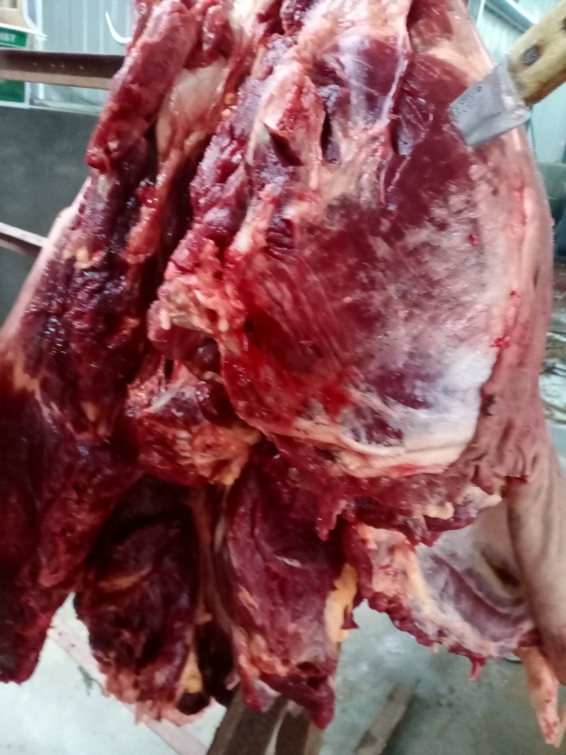 驴肉，现宰鲜驴肉，水褪毛，人工剔骨，精修去油，保质保量