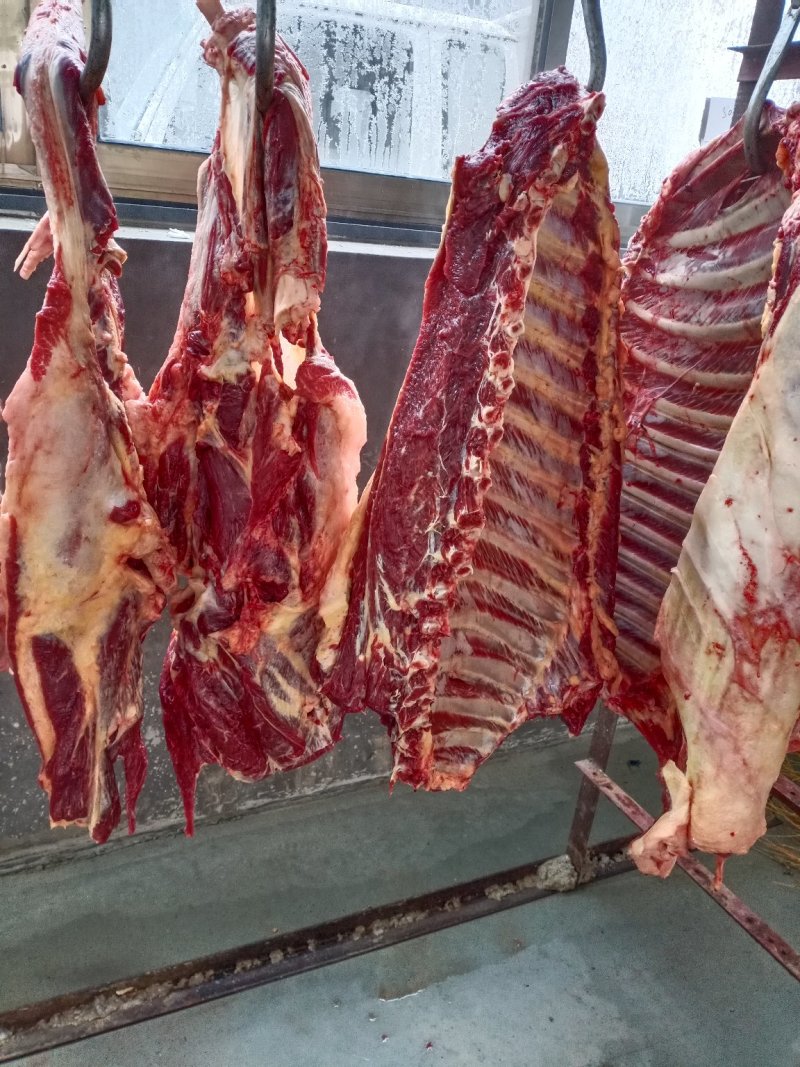 驴肉，现宰鲜驴肉，水褪毛，人工剔骨，精修去油，保质保量