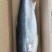 黄金大鲅鱼大鲅鱼大金枪鱼深海大鲅鱼