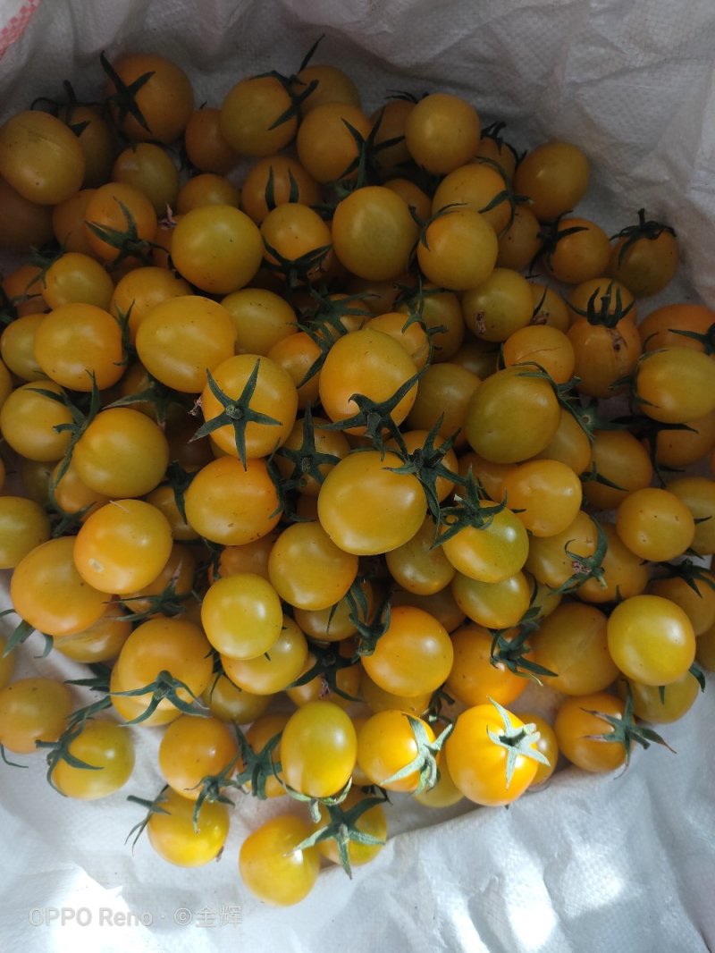 蔬菜
