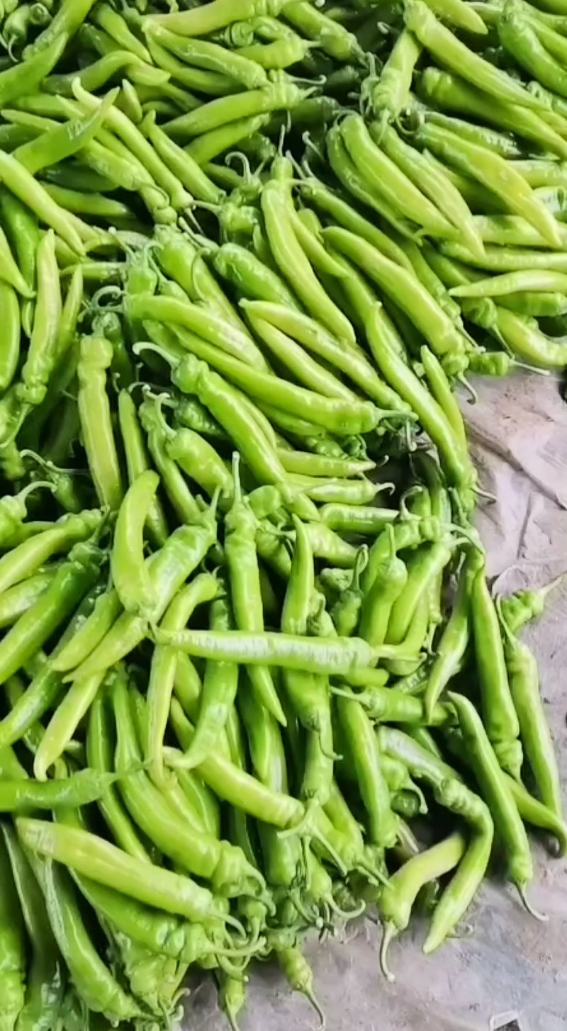 蔬菜