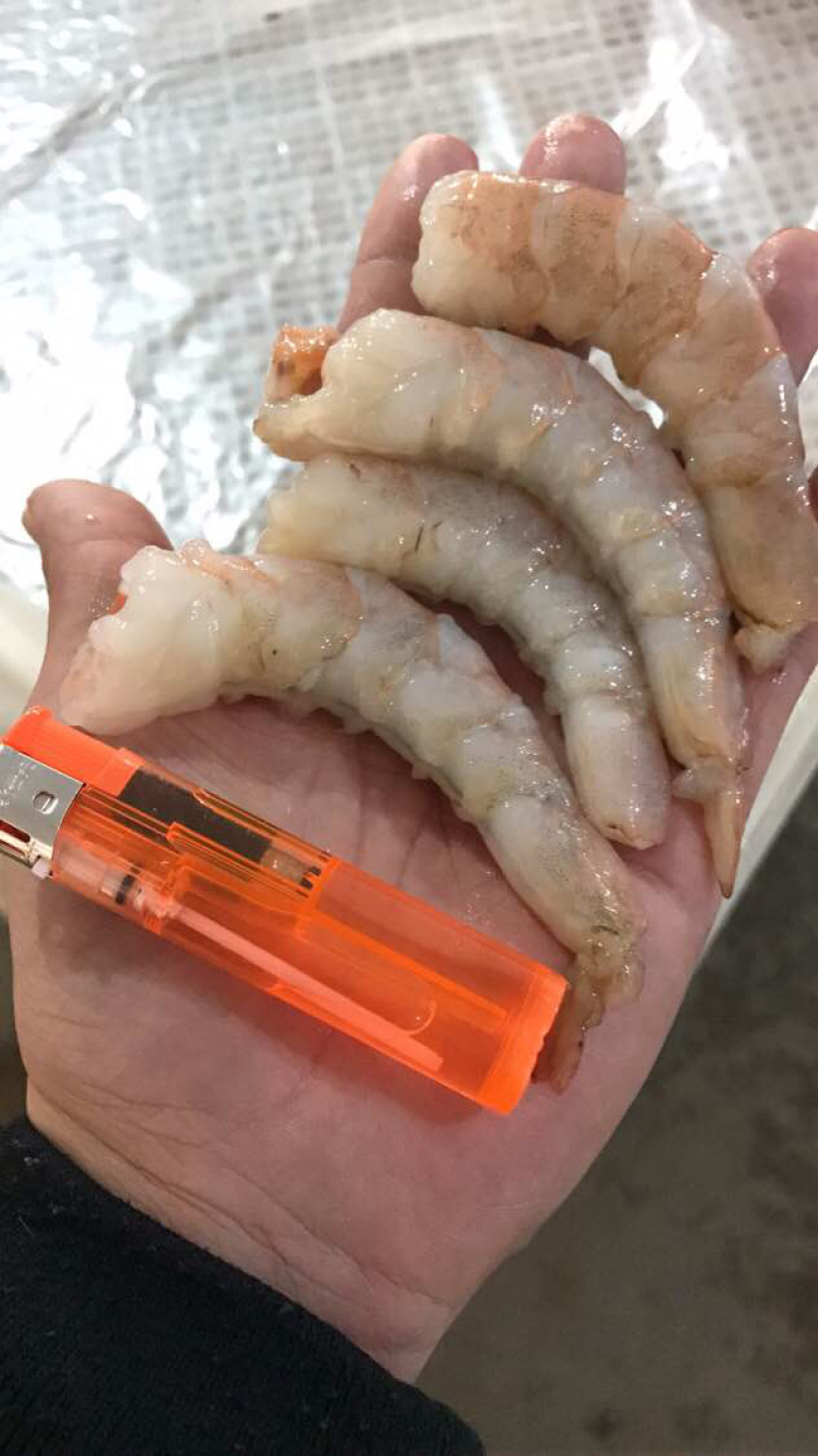 单冻南美白对虾虾仁大量批发一件代发