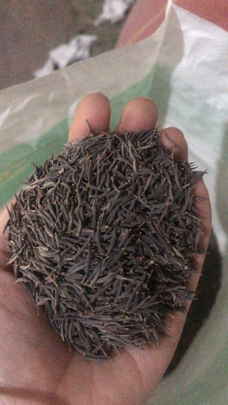 波斯菊花海必选品种，花期长，花色丰富，宜建植