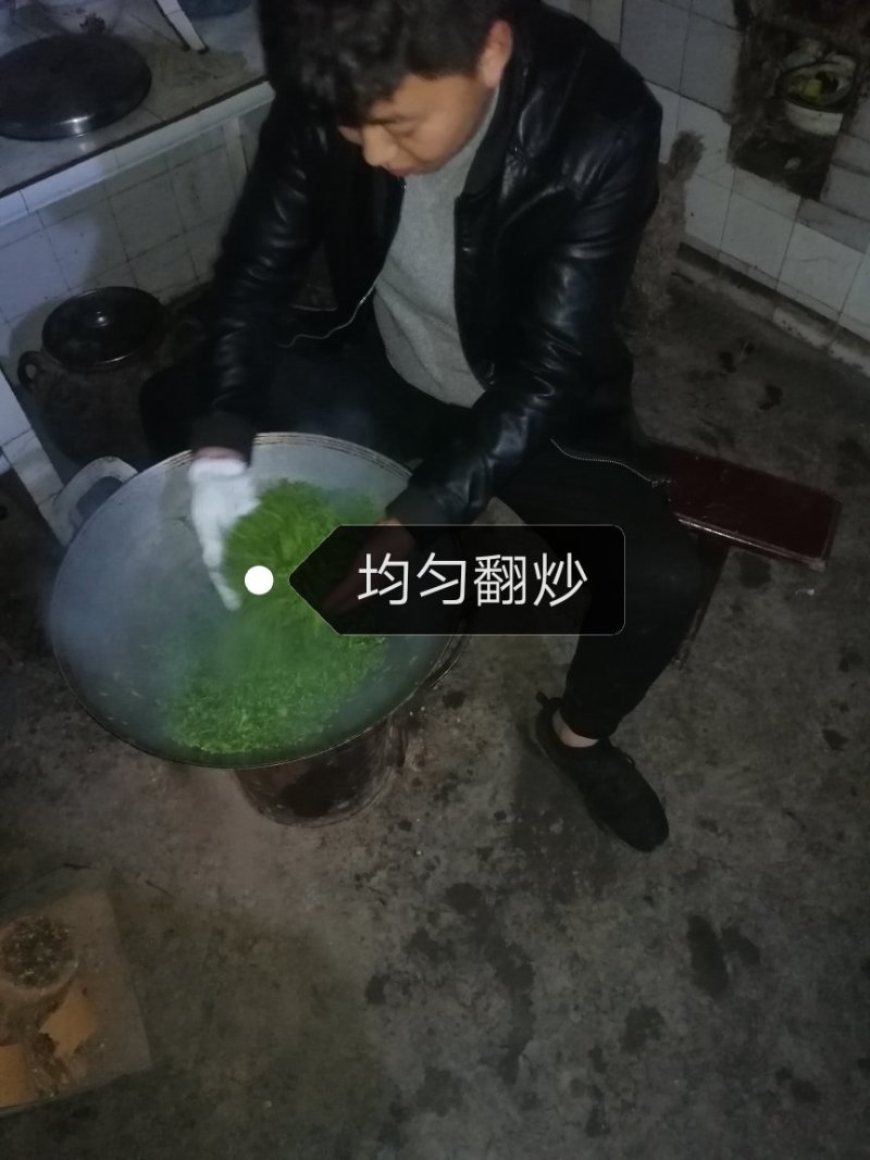 青山绿水苦丁茶