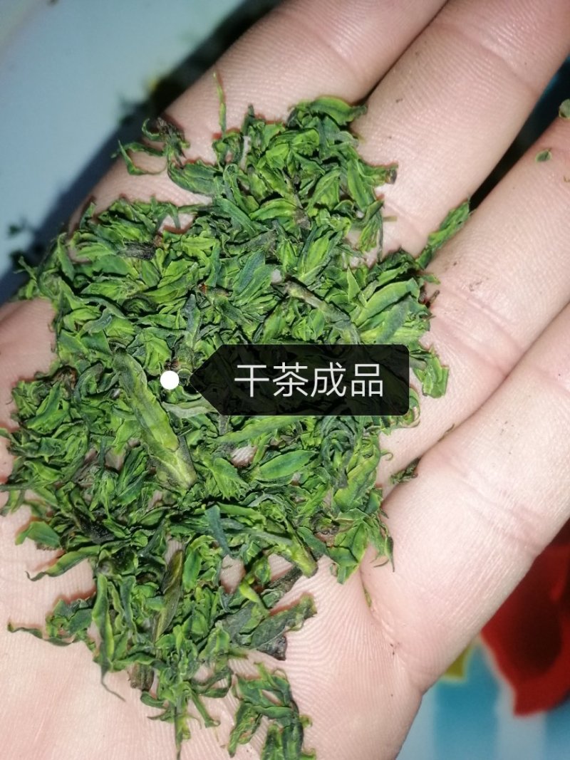 青山绿水苦丁茶