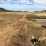 曲靖260亩茭瓜地出租，目前还是田地